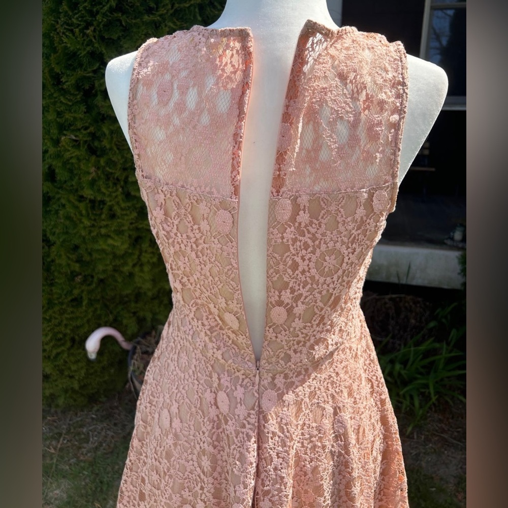 Blush Pink Lace Dress - Picture 5 of 6